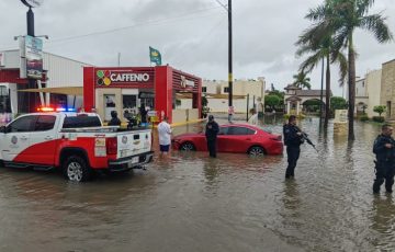 Encharcamientos Autos Varados Y Rboles Ca Dos Deja Norma En Culiac N