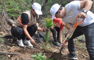 Reforestaci N Es Clave Importante Para Combatir La Sequ A Guerra