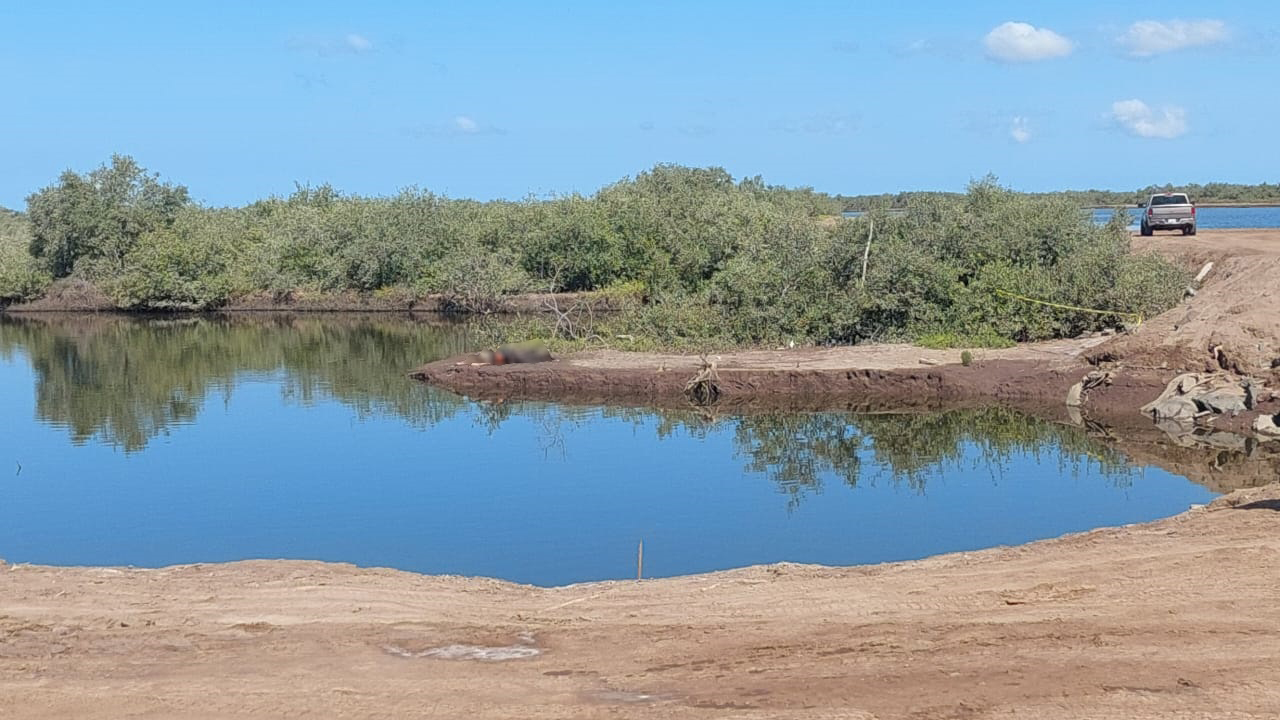 Localizan Cad Ver Flotando En Bachimeto Navolato Noticias De Sinaloa