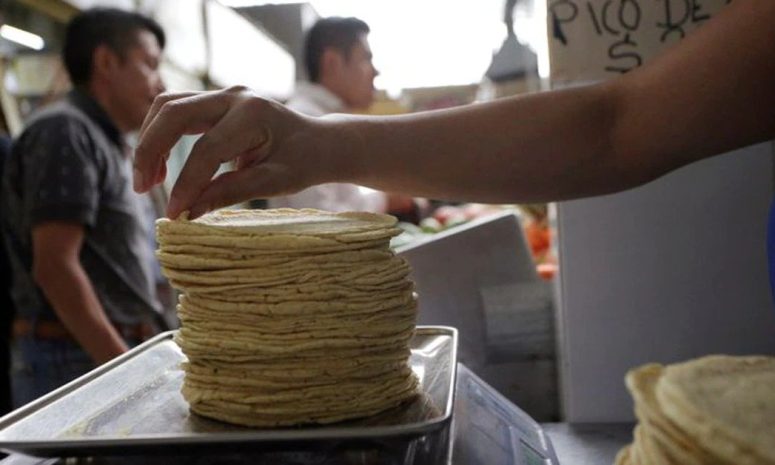 Descartan venta de tortillas adulteradas en Sinaloa