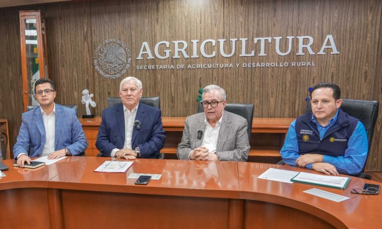 Pactado esquema comercial para maíz blanco en Sinaloa