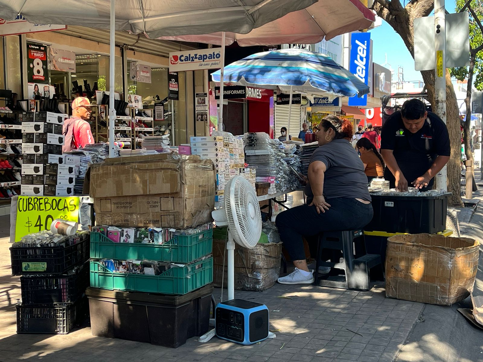 Quiere Canaco erradicar el comercio informal en Culiacán - Noticias de ...