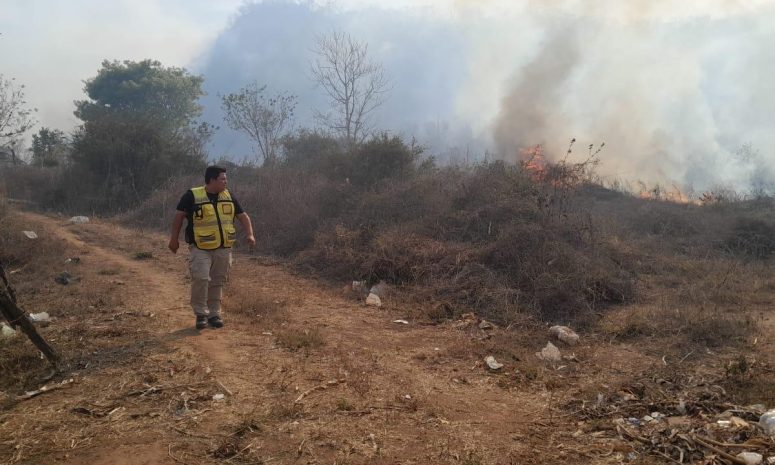 A la baja, incendios forestales en Sinaloa: Sebides