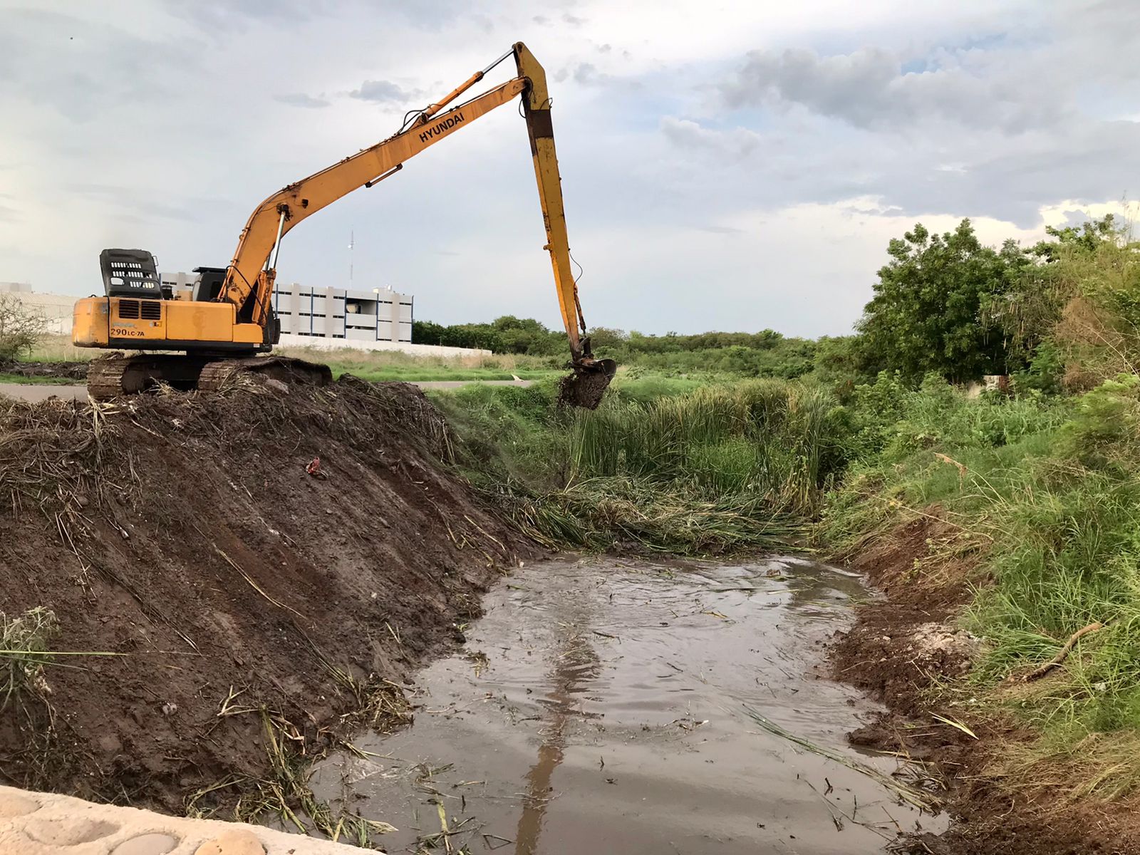 Con limpieza de arroyos y canales buscan evitar inundaciones en ...