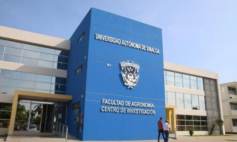 Sinaloa: impactos de balas perdidas decoran fachada de facultad de la UAS