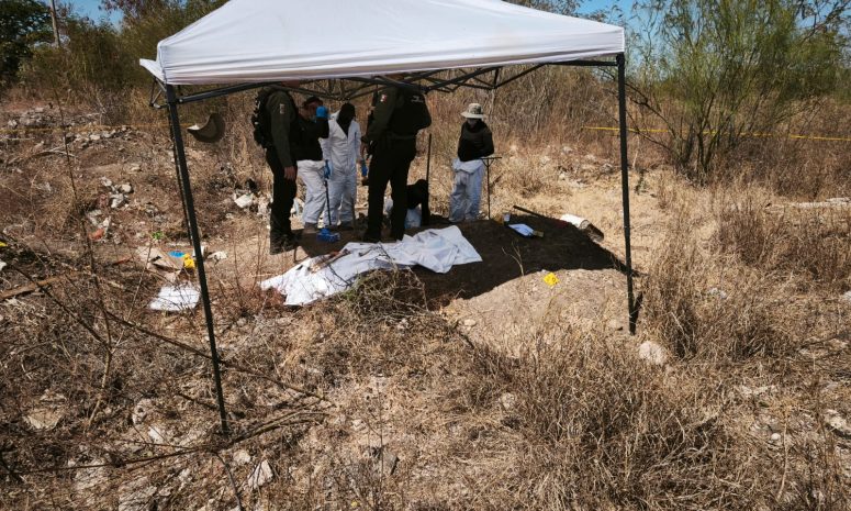 Hallan al menos siete cuerpos enterrados en Mezquitillo, Culiacán