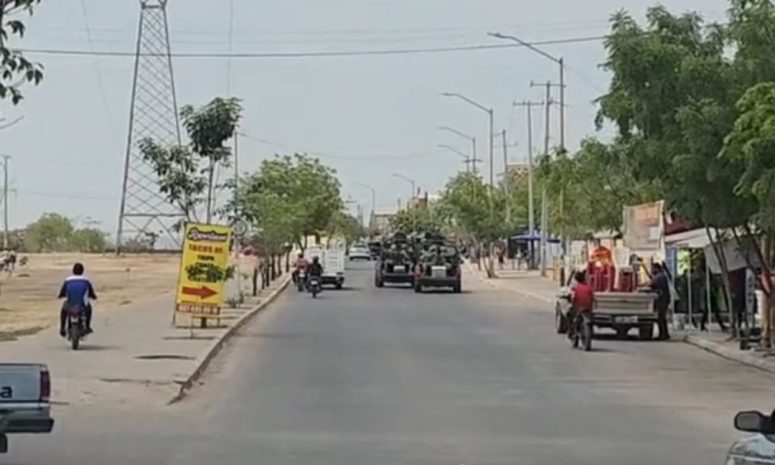 Considera Poder Judicial imposible sancionar en Sinaloa el halconeo