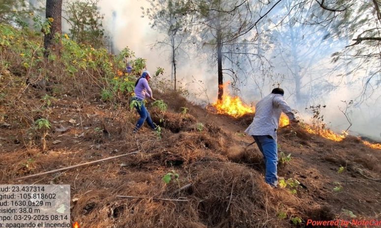 Combaten habitantes de la sierra de Sinaloa incendios forestales
