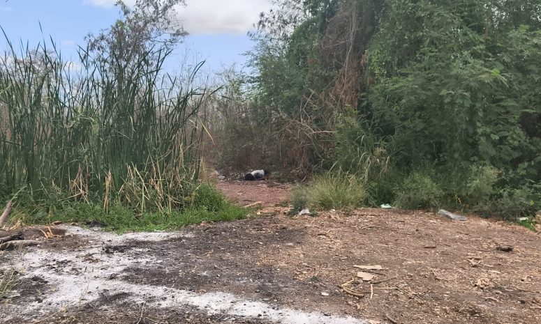 Localizan posibles restos de una mujer en tierras de cultivo en Culiacán