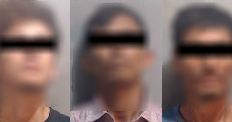 Llegan a Sinaloa más de 5 mil cabezas de ganado