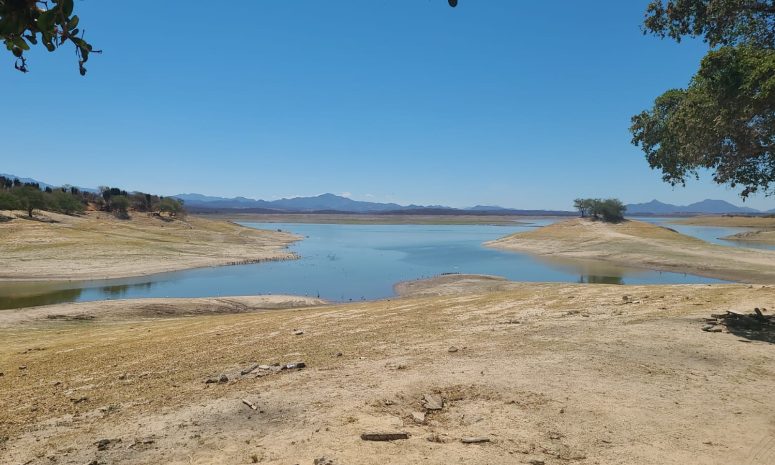 Pasan presas de Sinaloa de 6.0 a 9.1 por ciento de almacenamiento global