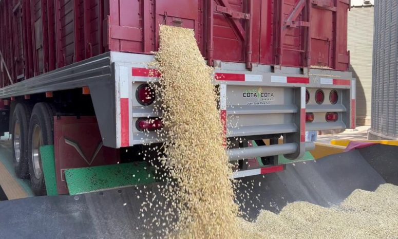 Rechazan que transnacional incursione en mercado de la tortilla en Sinaloa