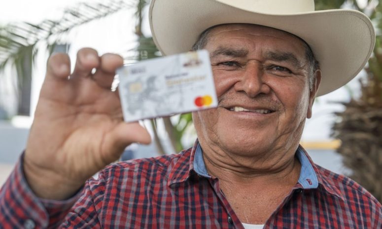 Agricultura asegura la entrega de incentivos al maíz blanco en Sinaloa