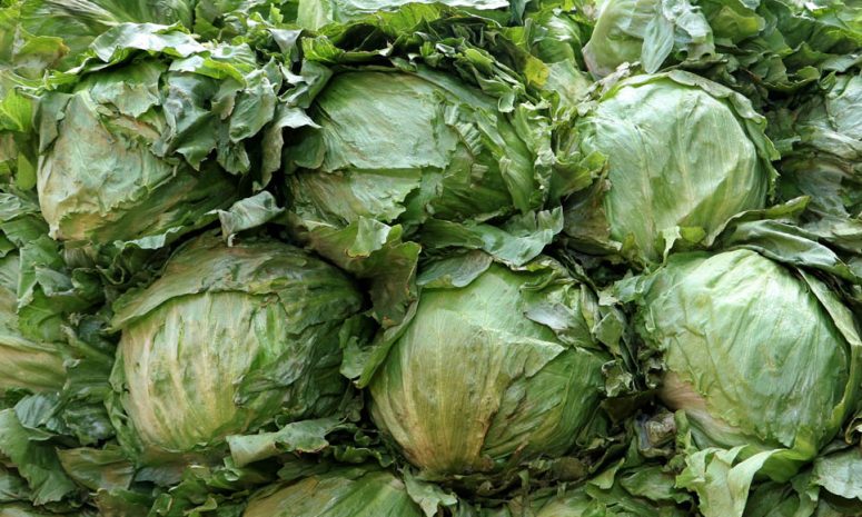 Sin evidencia que productos mexicanos originaron brote de salmonella: SS
