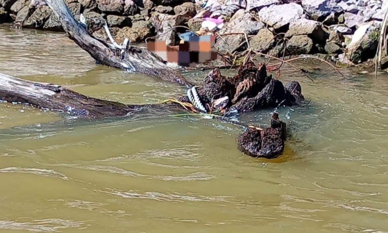 Hallan cadáver de mujer en zona de playa en Mazatlán