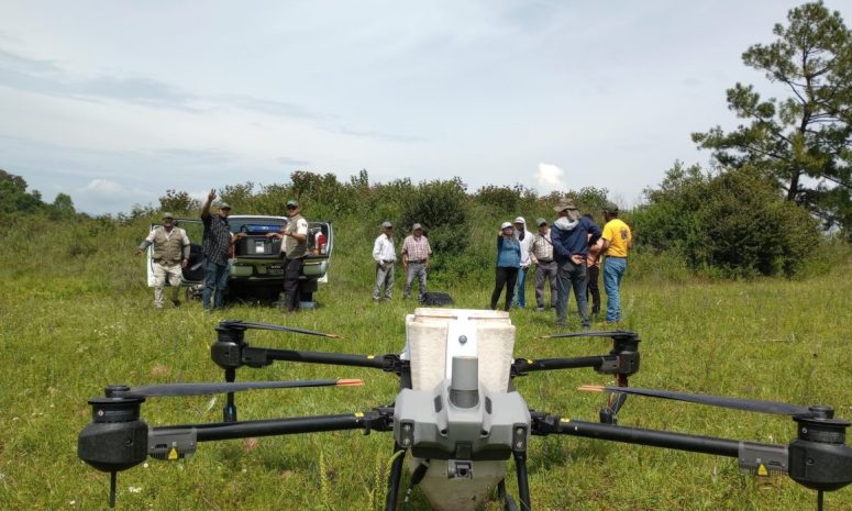 Llaman en Sinaloa a usar drones con cautela para evitar daños a cultivos